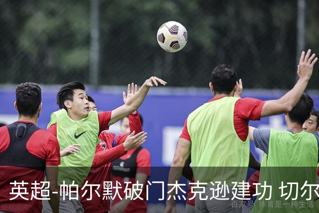 英超-帕尔默破门杰克逊建功 切尔西2-1纽卡斯尔